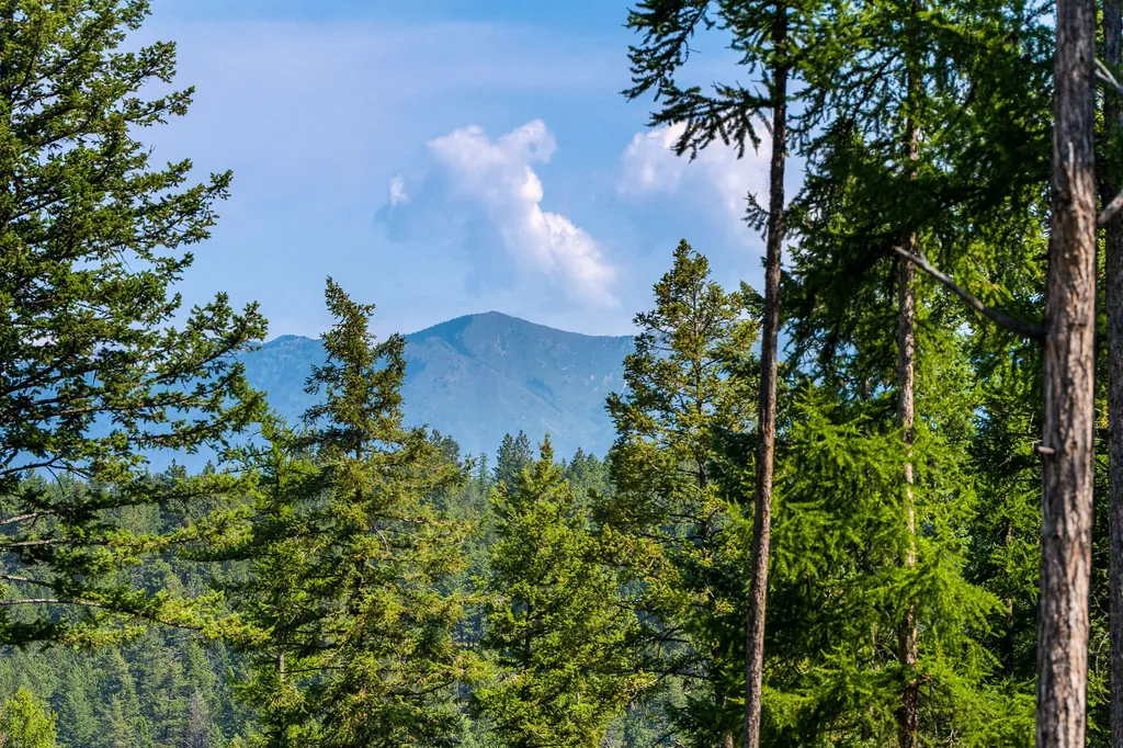 205 Trading Post Trail Bigfork MT 59911