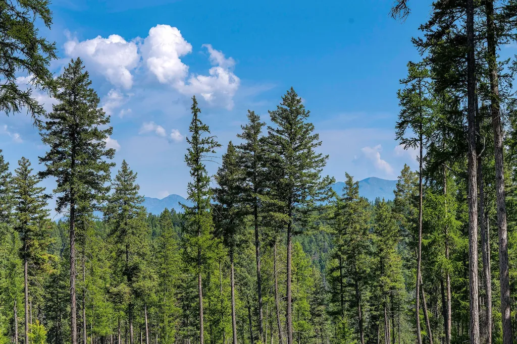 205 Trading Post Trail Bigfork MT 59911