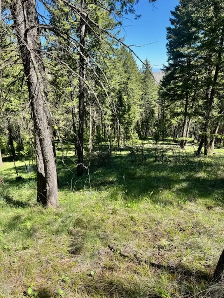 1798 Rocky Top Road Hamilton MT 59840