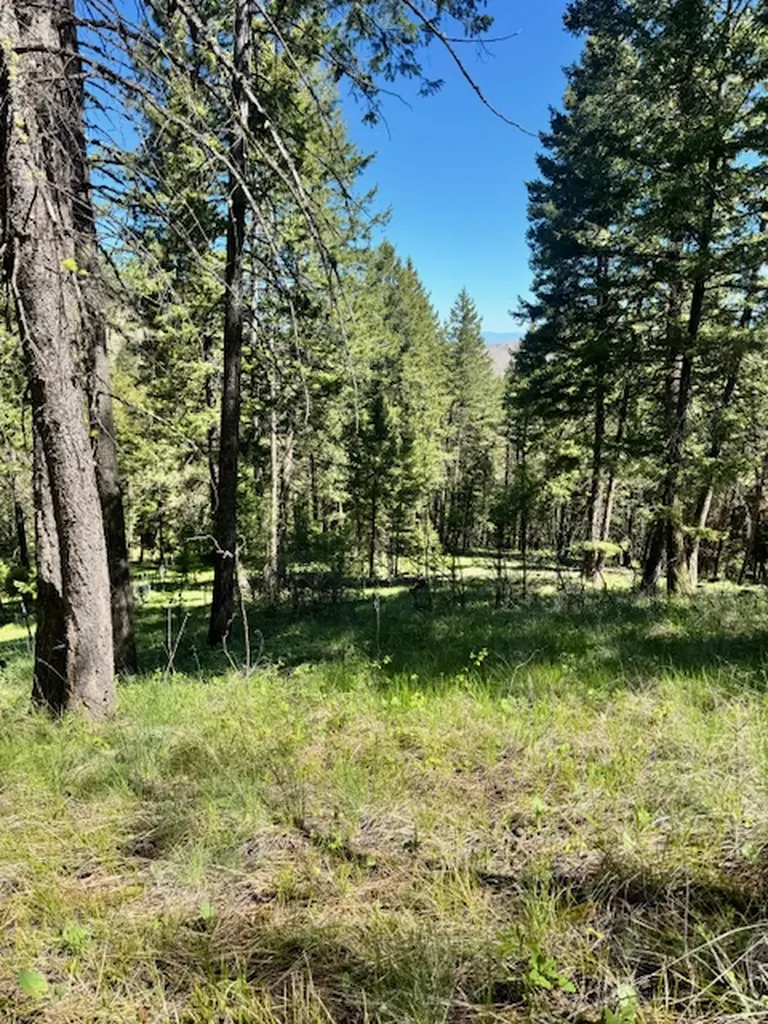 1798 Rocky Top Road Hamilton MT 59840