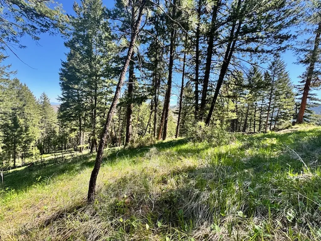1798 Rocky Top Road Hamilton MT 59840