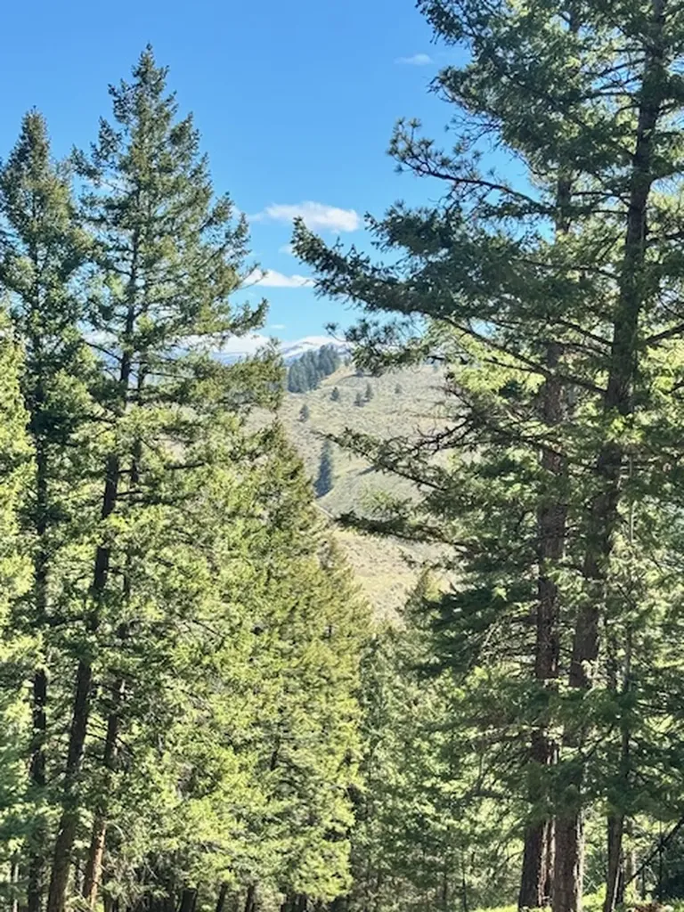 1798 Rocky Top Road Hamilton MT 59840