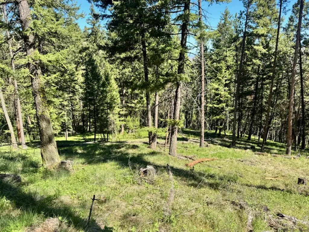 1798 Rocky Top Road Hamilton MT 59840