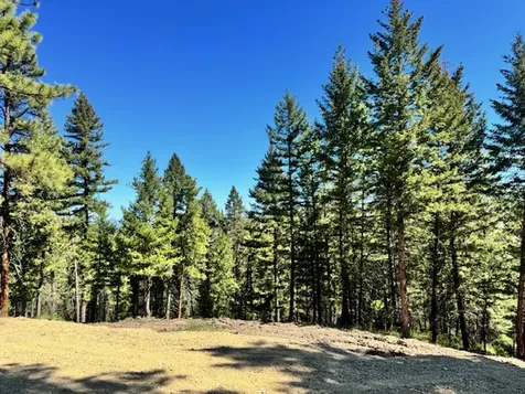 1798 Rocky Top Road Hamilton MT 59840