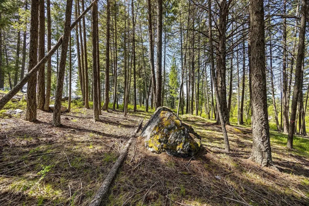 148 Trading Post Trail Bigfork MT 59911