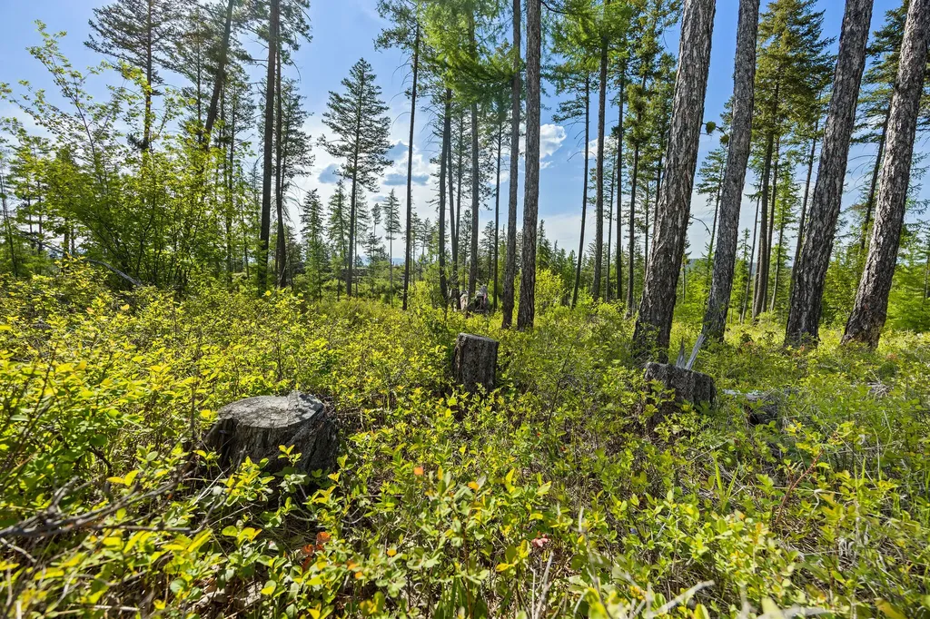148 Trading Post Trail Bigfork MT 59911