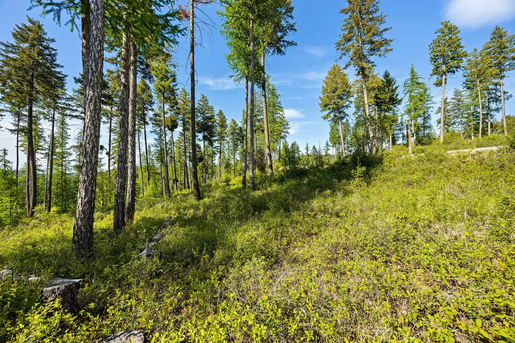 148 Trading Post Trail Bigfork MT 59911