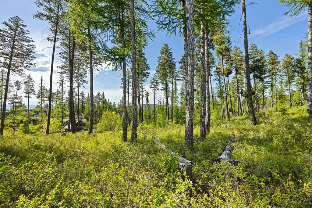 148 Trading Post Trail Bigfork MT 59911