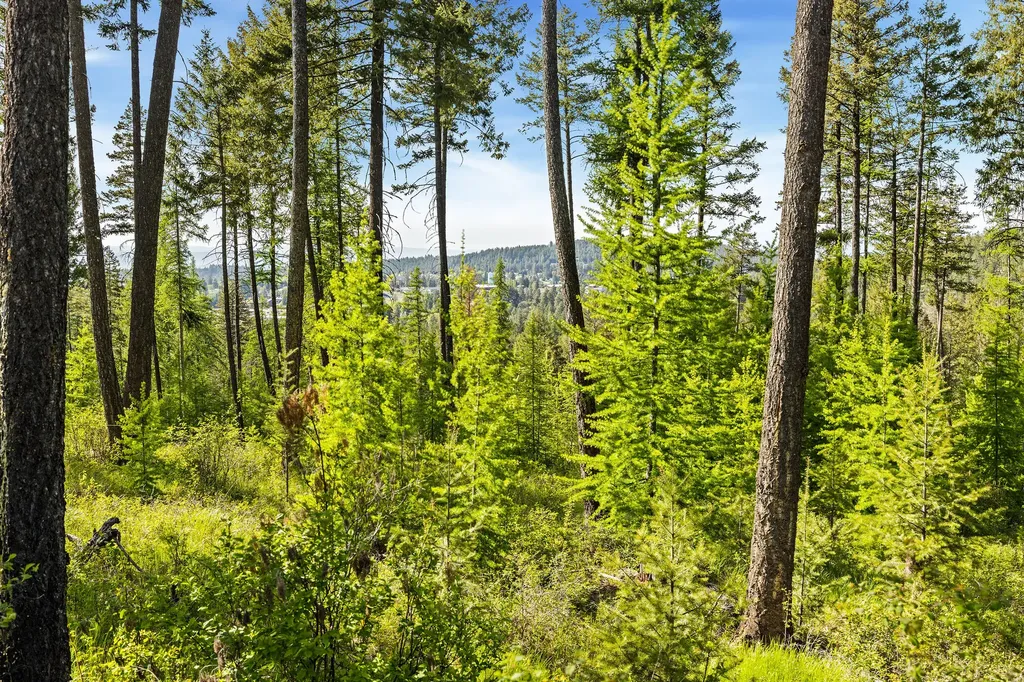 186 Trading Post Trail Bigfork MT 59911