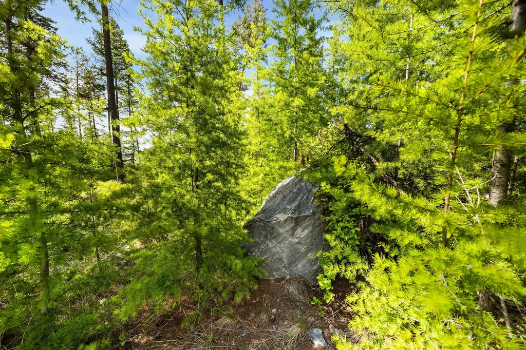 186 Trading Post Trail Bigfork MT 59911