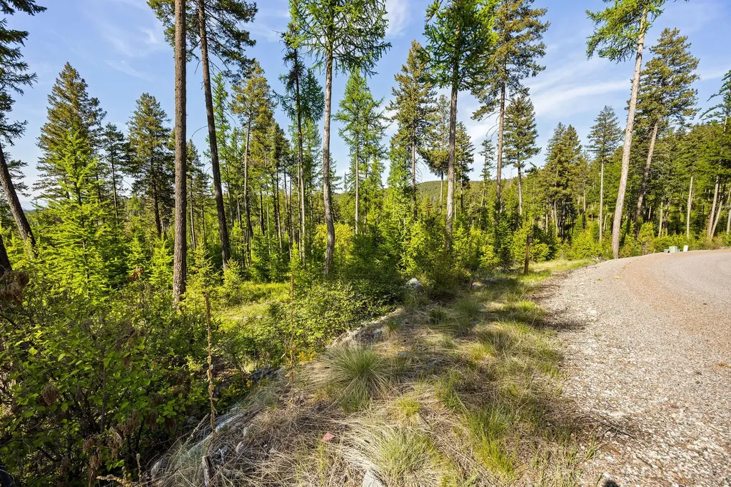 186 Trading Post Trail Bigfork MT 59911