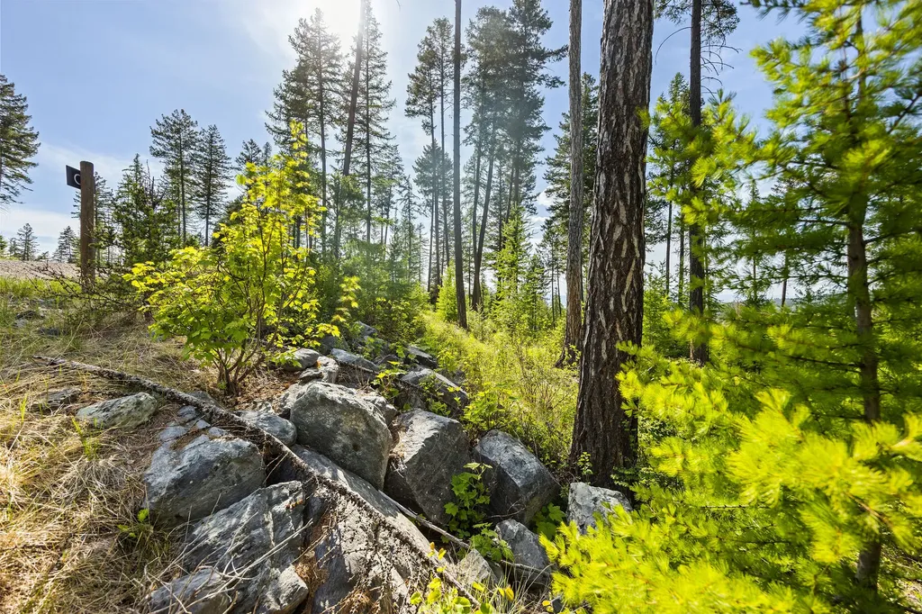 186 Trading Post Trail Bigfork MT 59911