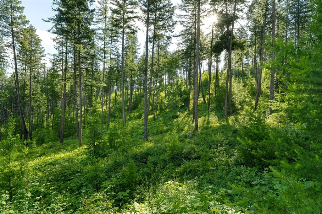 222 Trading Post Trail Bigfork MT 59911