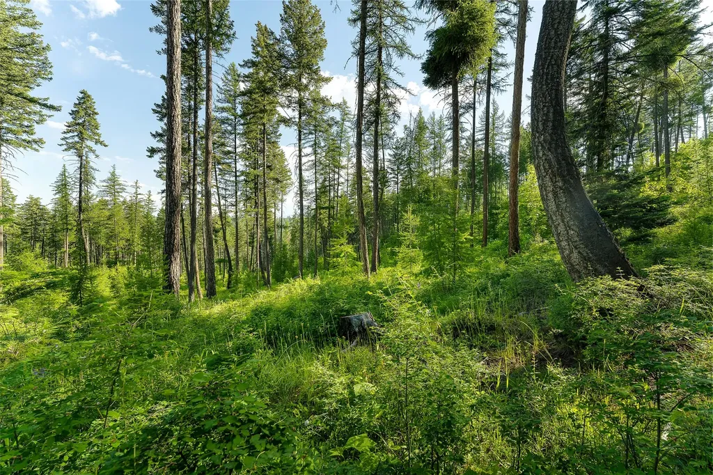 222 Trading Post Trail Bigfork MT 59911