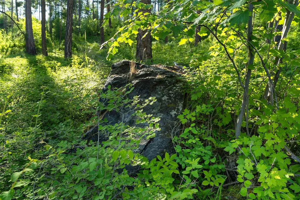 222 Trading Post Trail Bigfork MT 59911