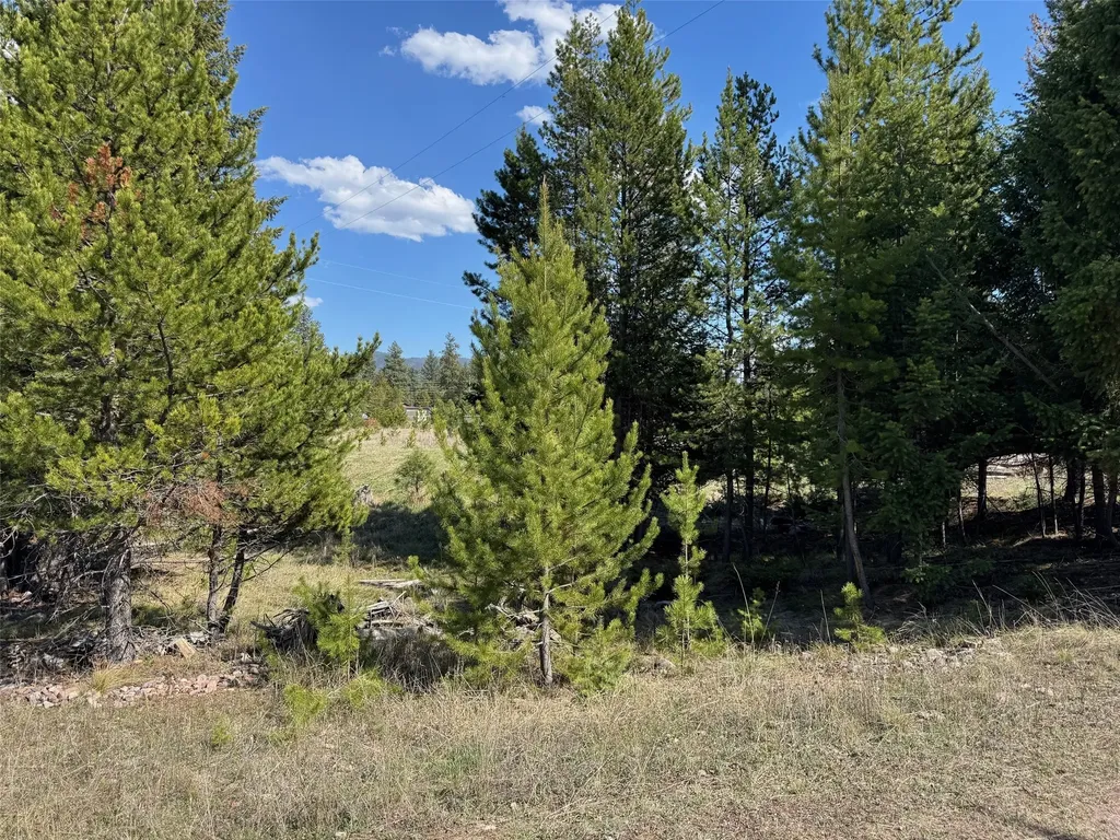 Nhn Pine Drive Seeley Lake MT 59868