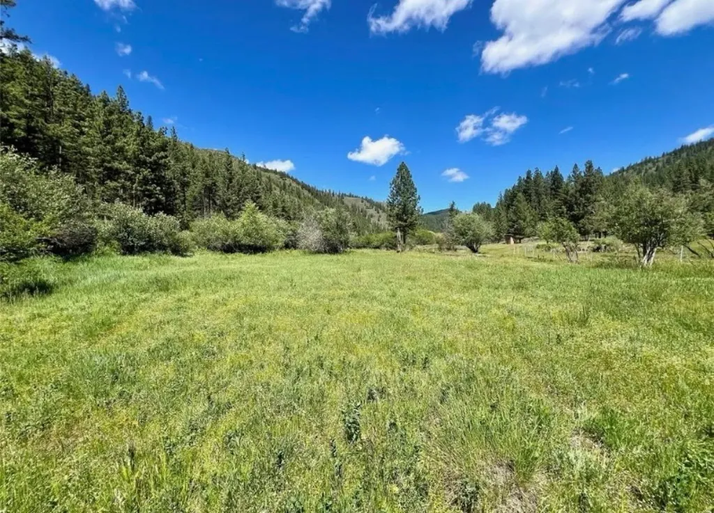 189 Buffalo Bill Road Plains MT 59859