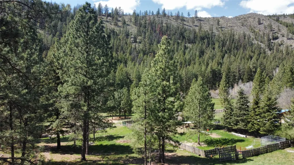 189 Buffalo Bill Road Plains MT 59859