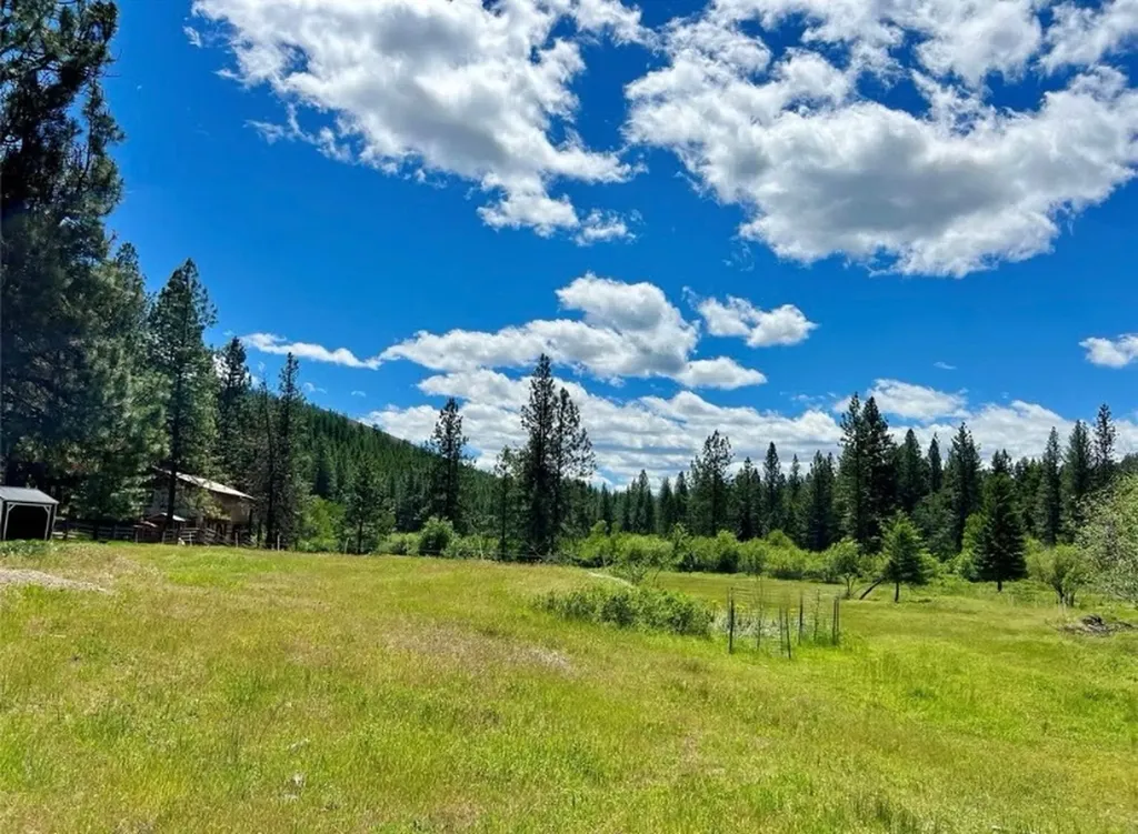 189 Buffalo Bill Road Plains MT 59859