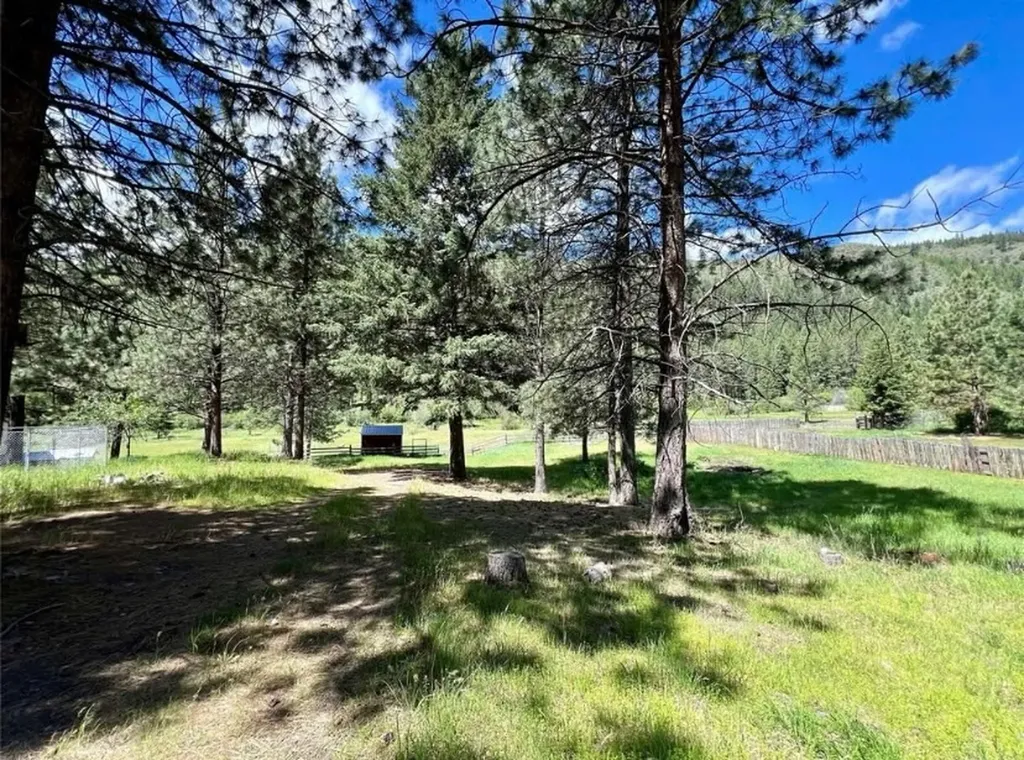 189 Buffalo Bill Road Plains MT 59859