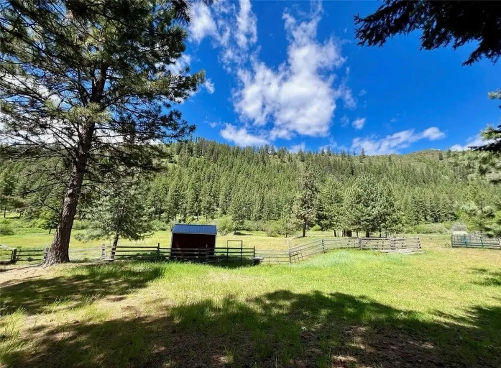 189 Buffalo Bill Road Plains MT 59859