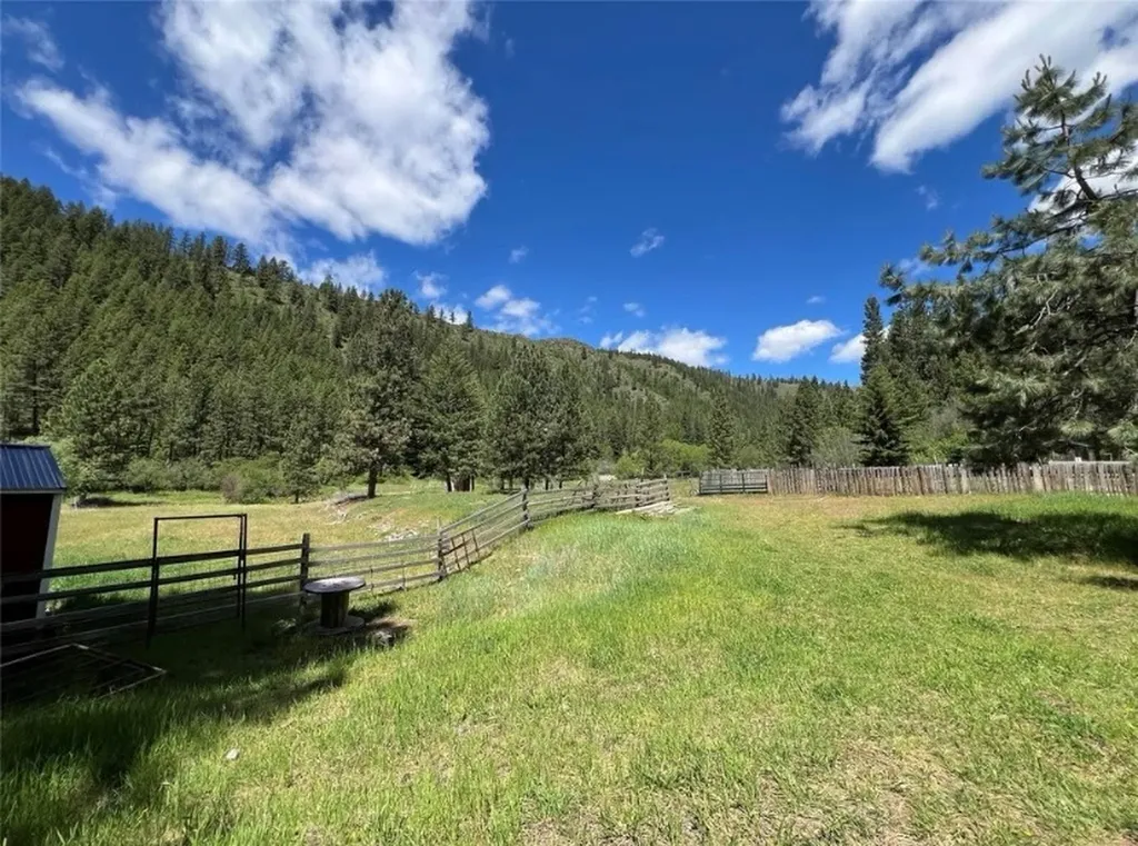 189 Buffalo Bill Road Plains MT 59859