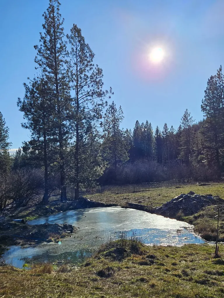 189 Buffalo Bill Road Plains MT 59859
