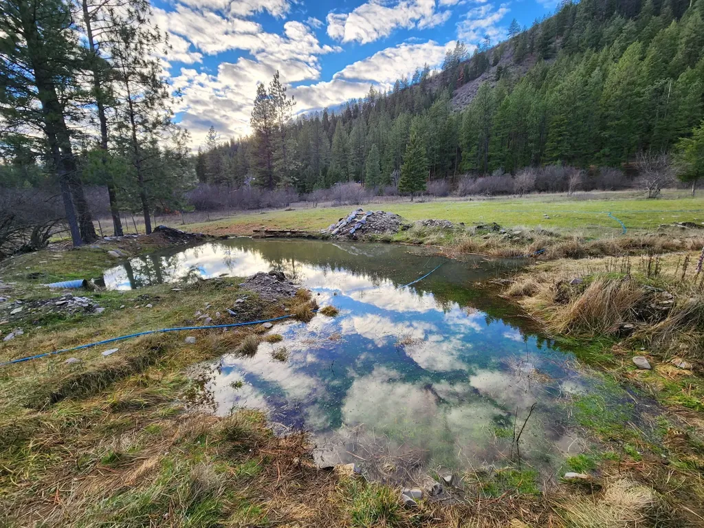 189 Buffalo Bill Road Plains MT 59859