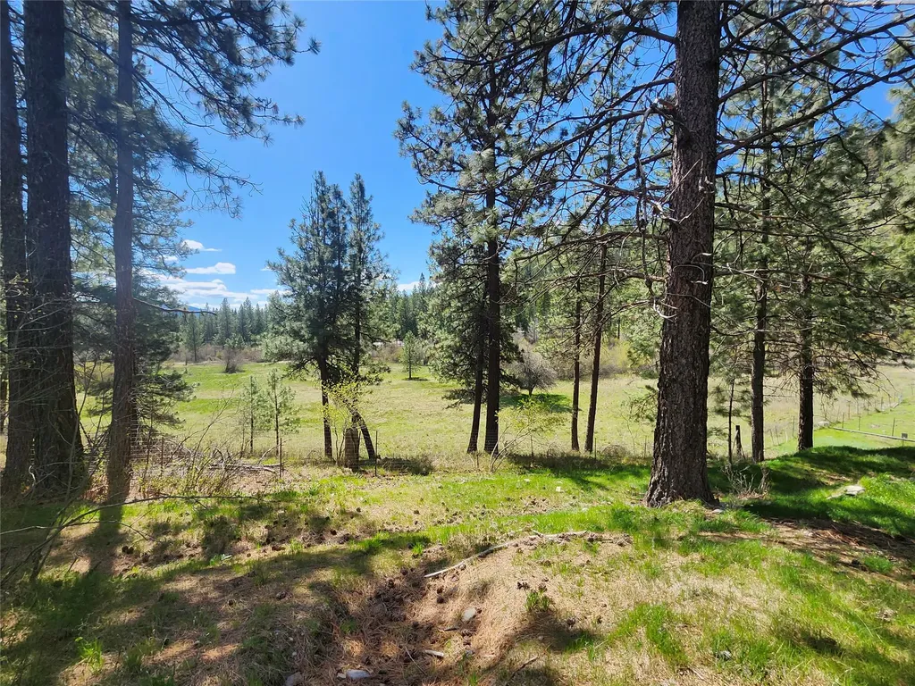 189 Buffalo Bill Road Plains MT 59859