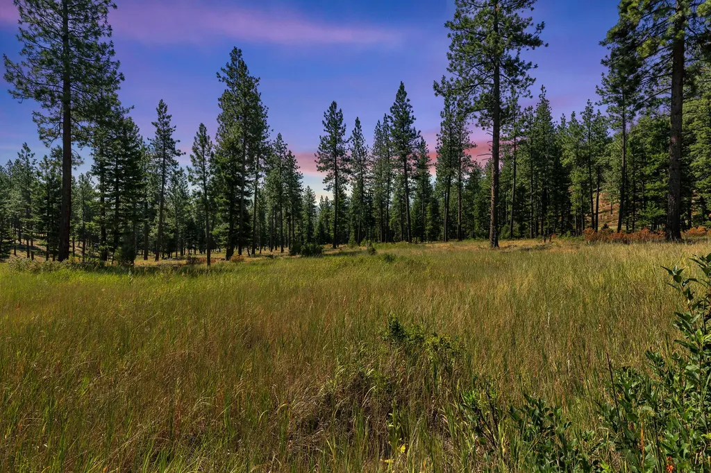 13902 Highland Trail Alberton MT 59820