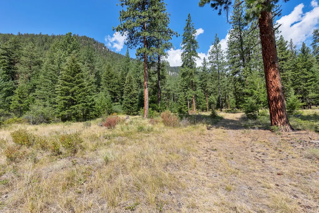 13902 Highland Trail Alberton MT 59820
