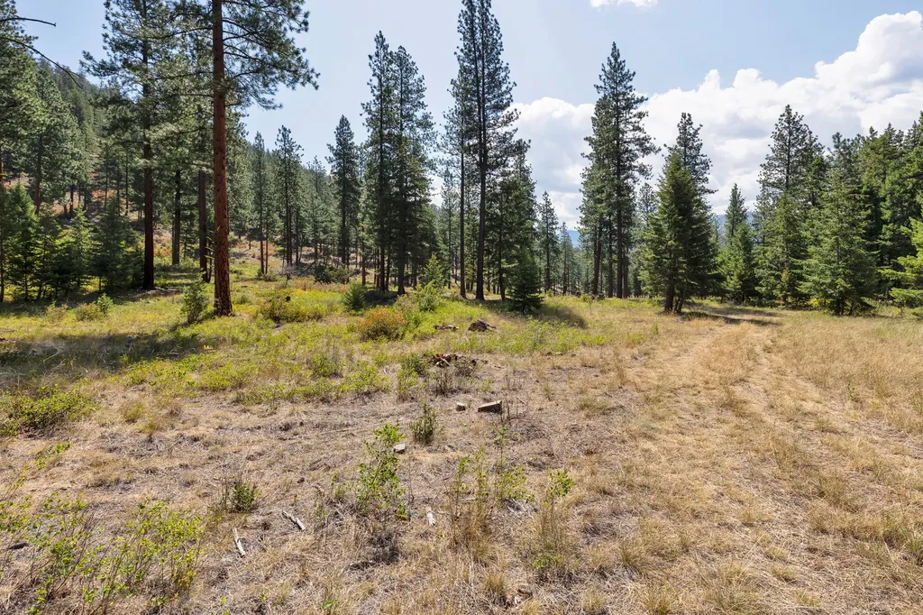 13902 Highland Trail Alberton MT 59820