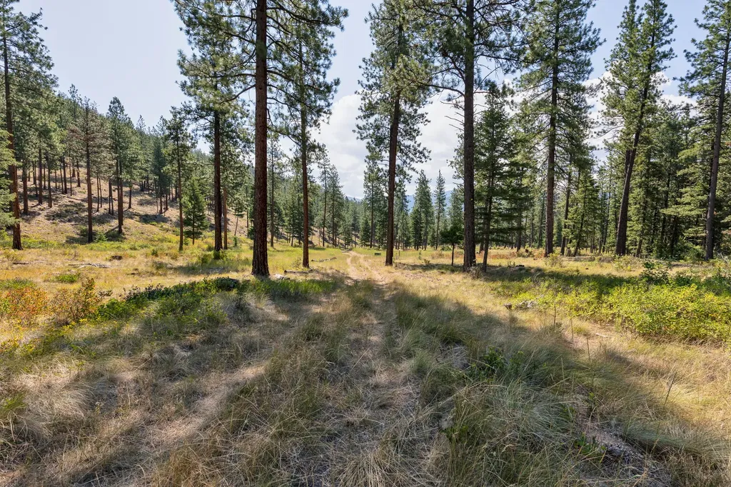 13902 Highland Trail Alberton MT 59820