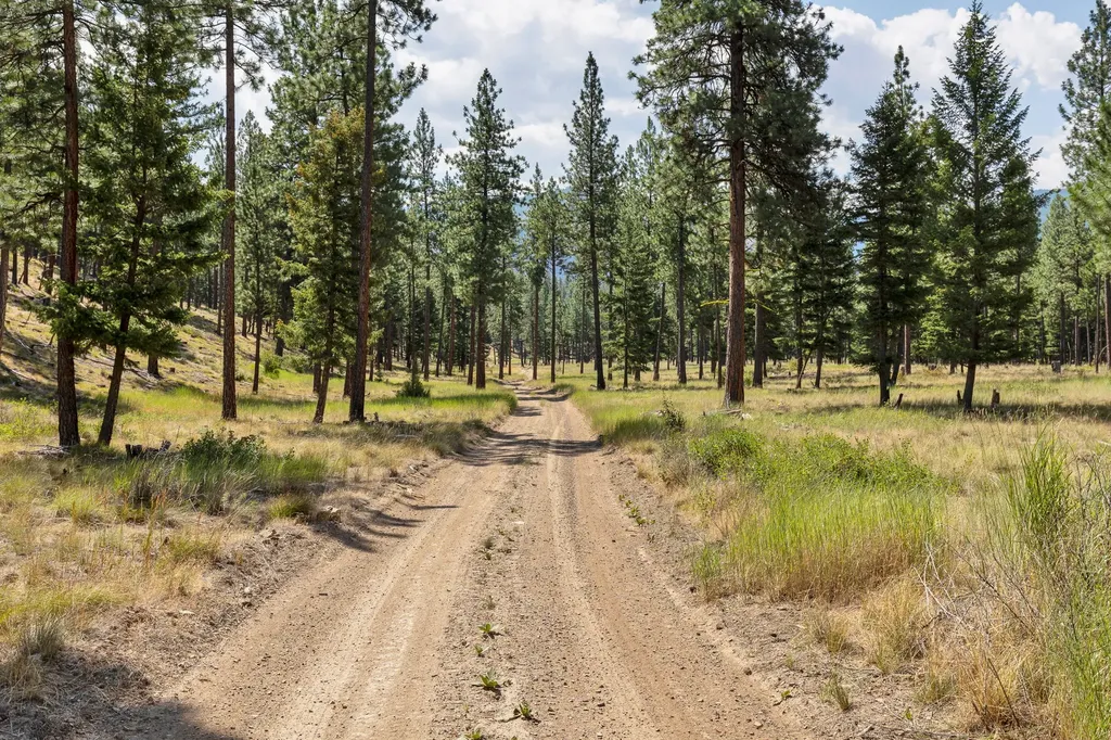 13902 Highland Trail Alberton MT 59820