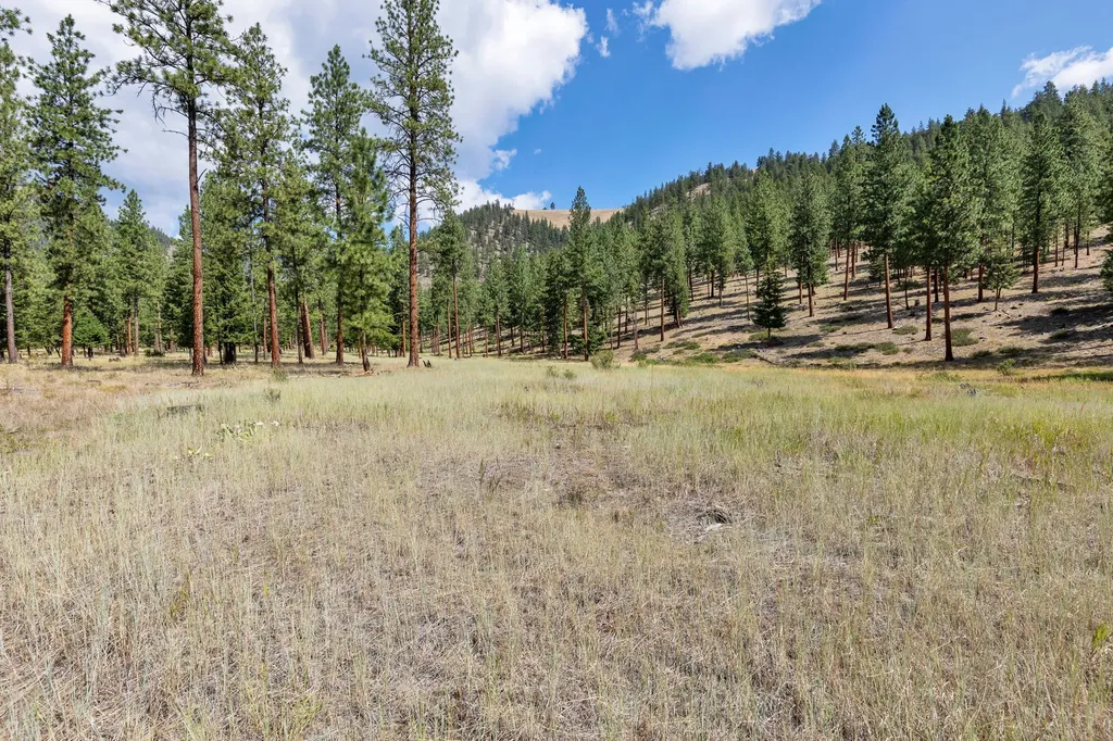 13902 Highland Trail Alberton MT 59820