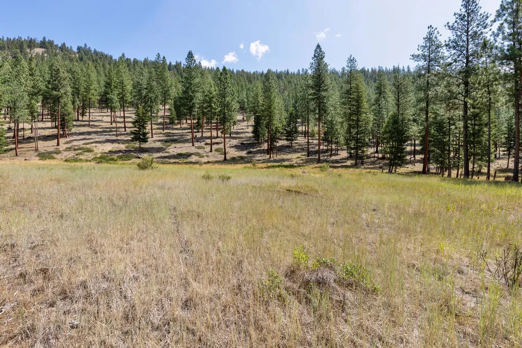 13902 Highland Trail Alberton MT 59820
