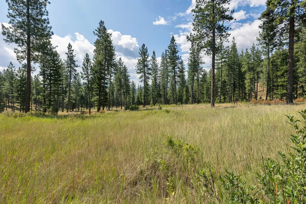 13902 Highland Trail Alberton MT 59820