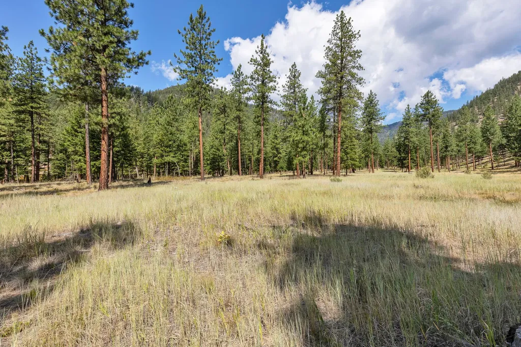 13902 Highland Trail Alberton MT 59820