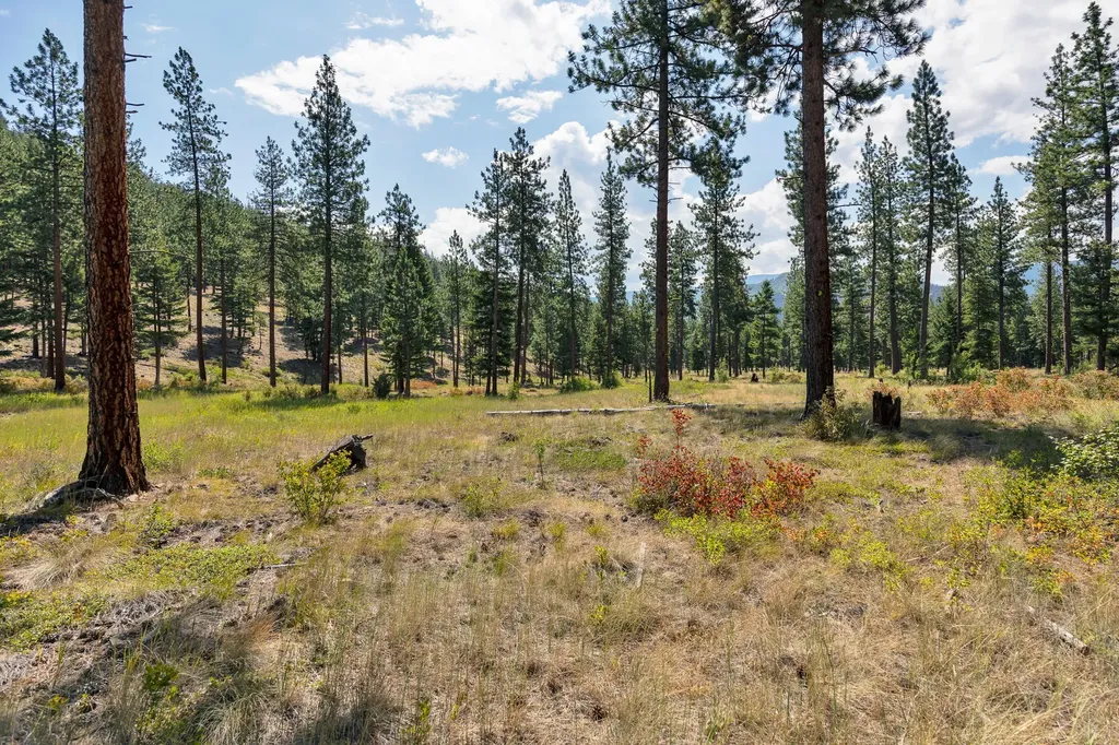13902 Highland Trail Alberton MT 59820