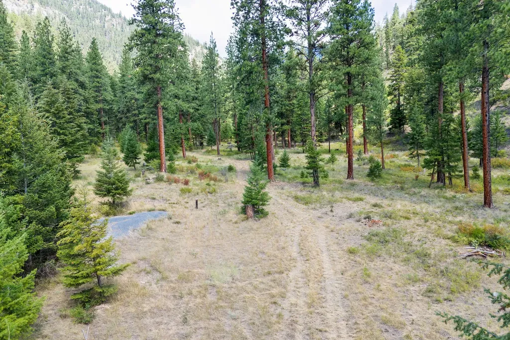13902 Highland Trail Alberton MT 59820