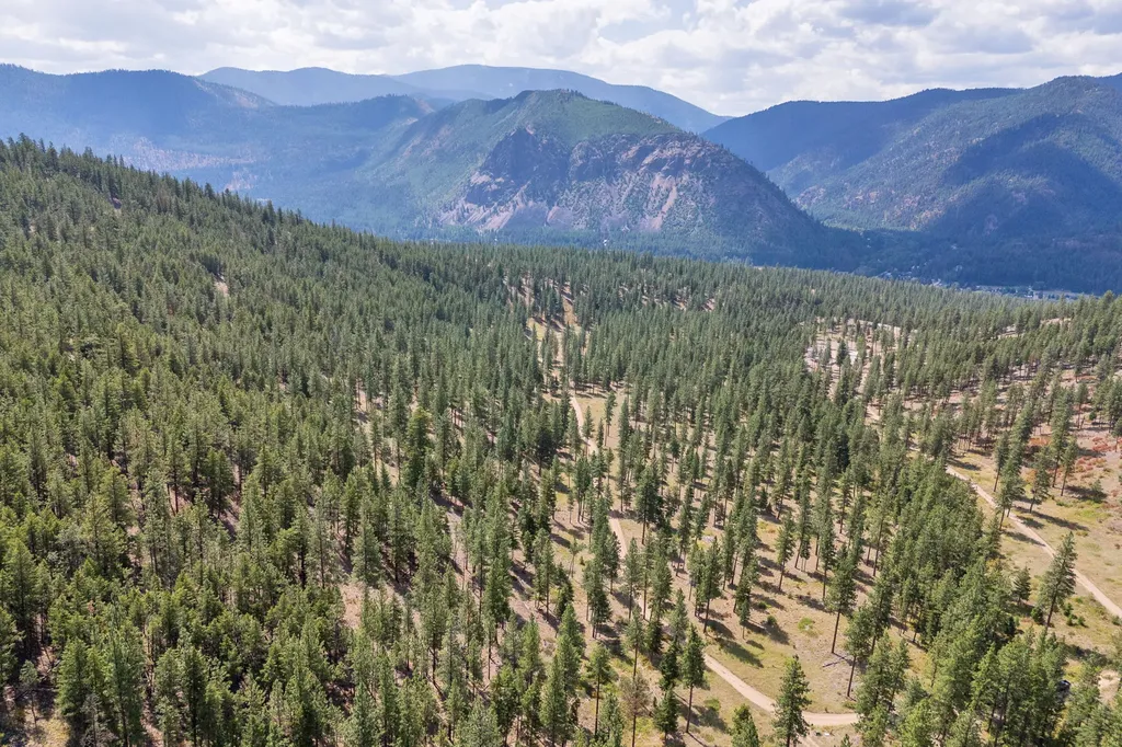 13902 Highland Trail Alberton MT 59820