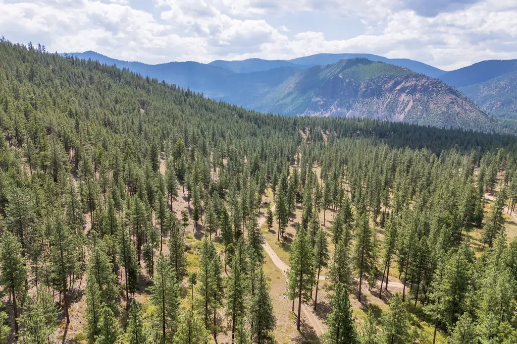 13902 Highland Trail Alberton MT 59820
