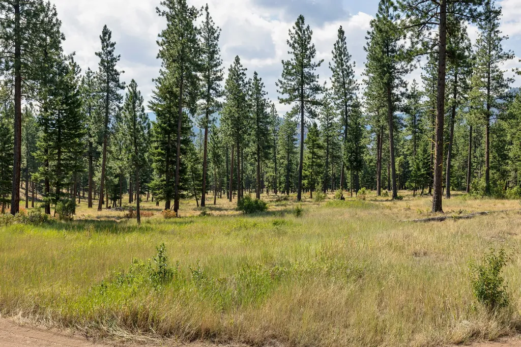 13902 Highland Trail Alberton MT 59820