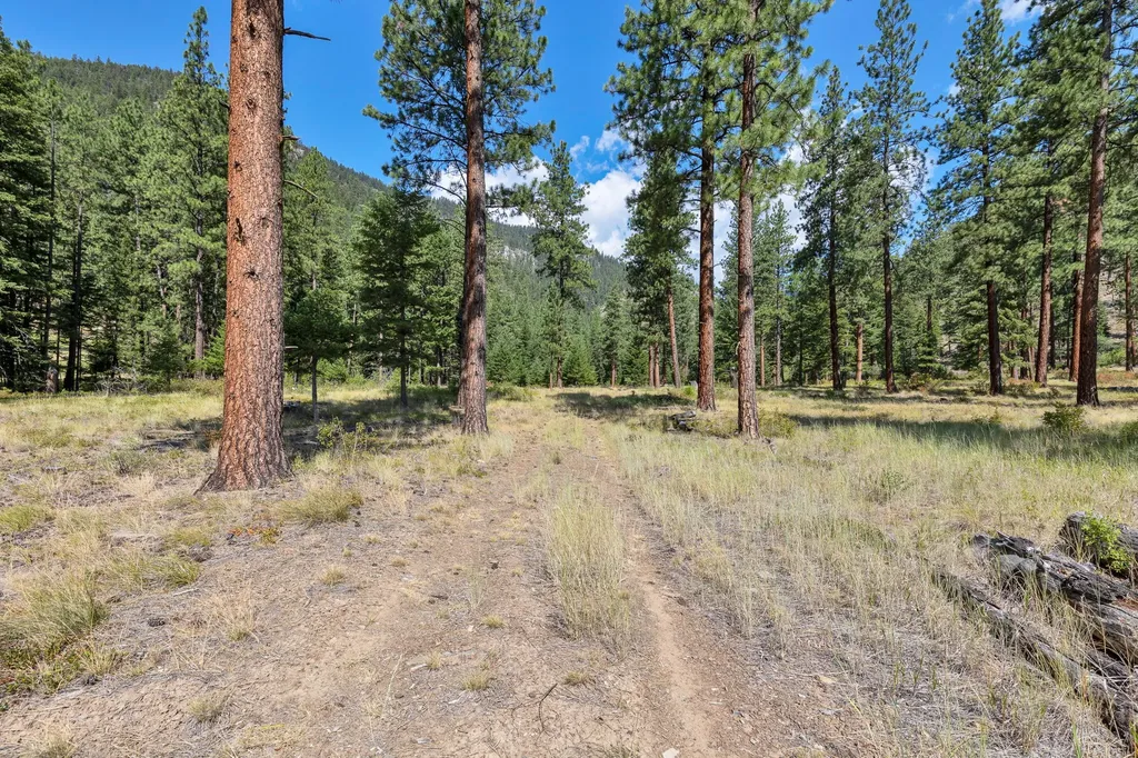 13902 Highland Trail Alberton MT 59820