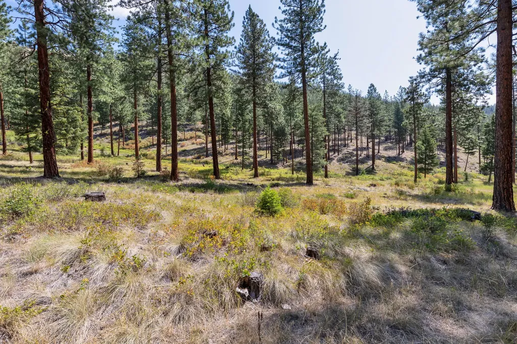 13902 Highland Trail Alberton MT 59820