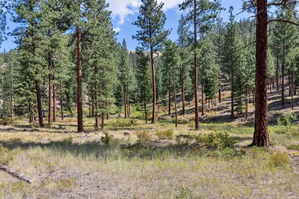 13902 Highland Trail Alberton MT 59820