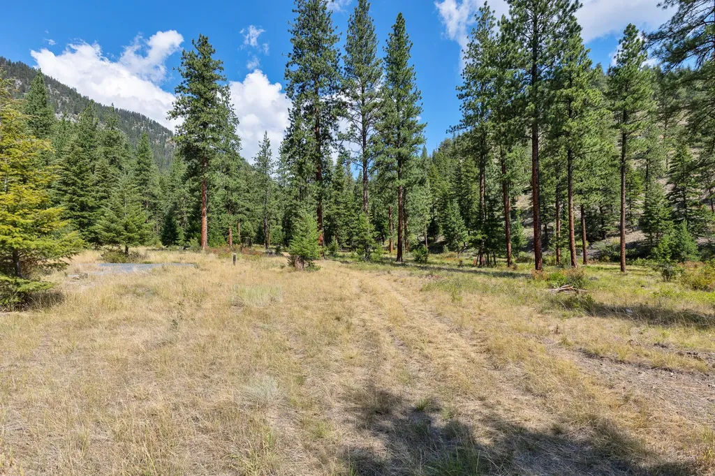 13902 Highland Trail Alberton MT 59820