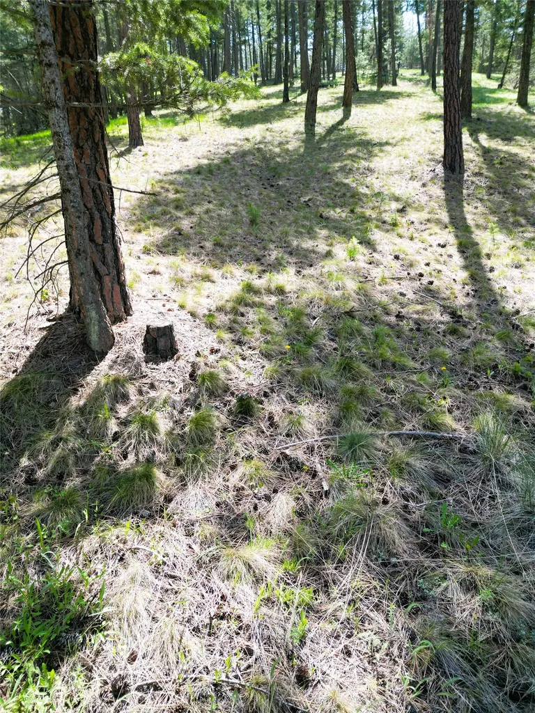 Lot 9 Wilderness Club Drive Eureka MT 59917