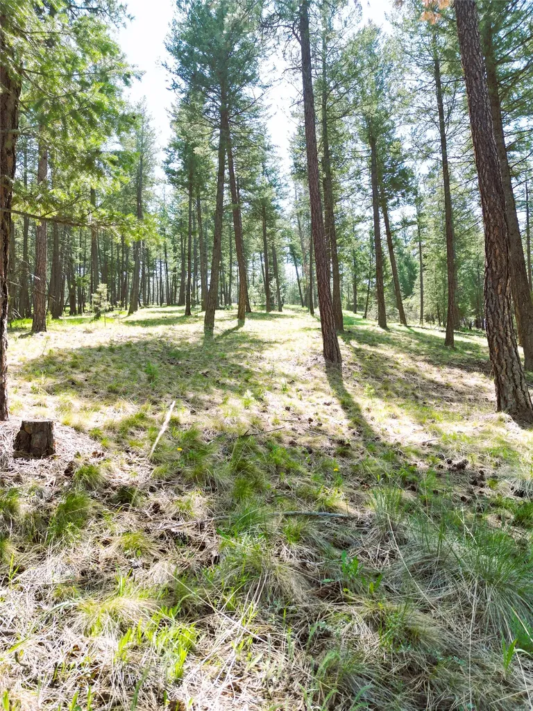 Lot 9 Wilderness Club Drive Eureka MT 59917