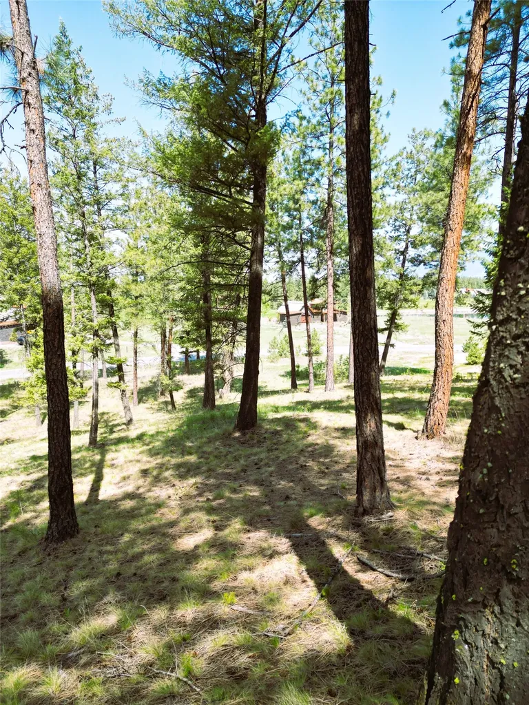 Lot 9 Wilderness Club Drive Eureka MT 59917